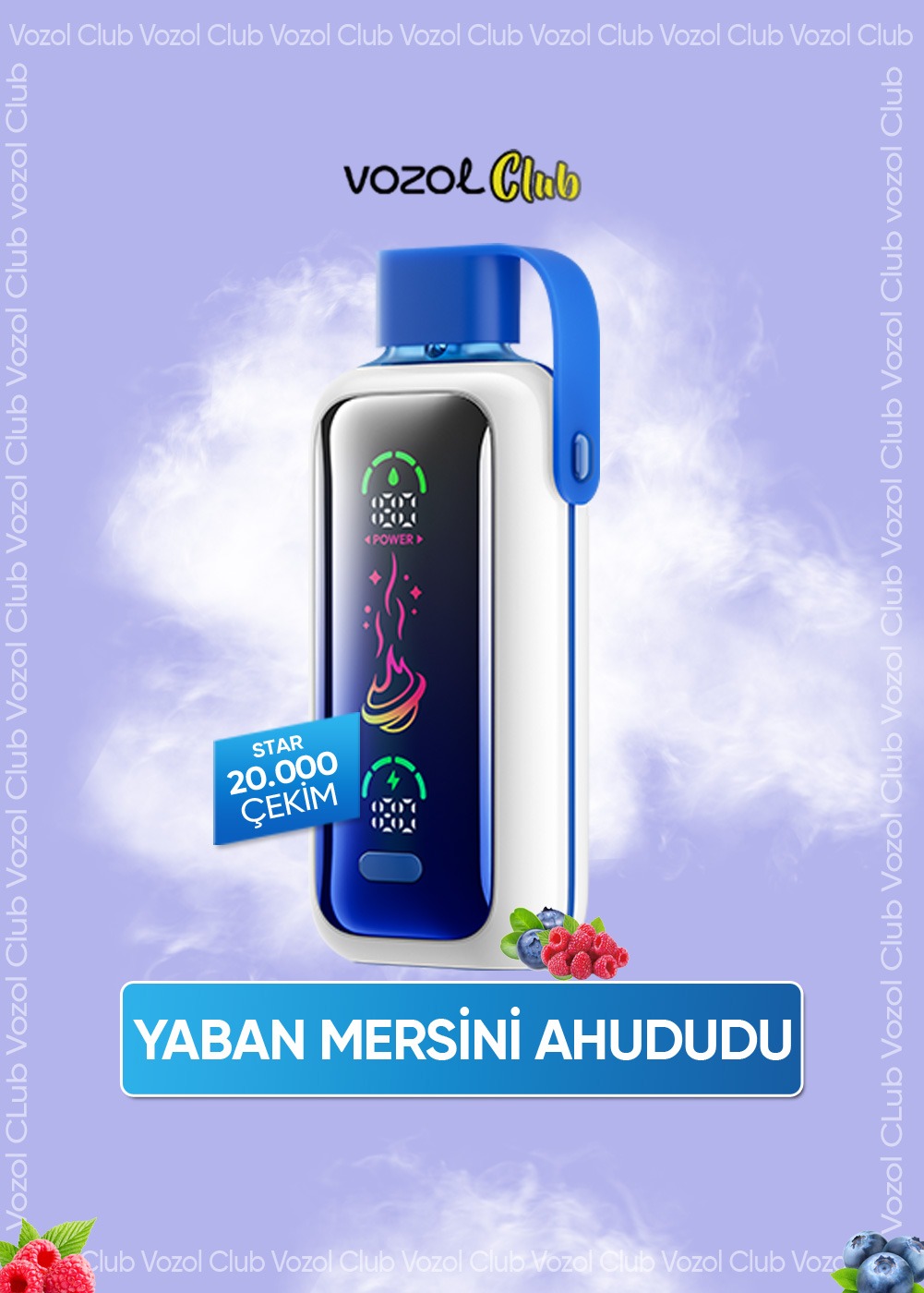 Vozol Star 20000 Blueberry Storm