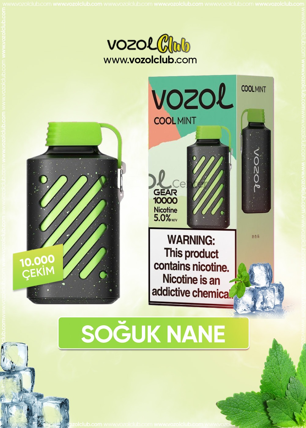 Vozol 10000 Cool Mint