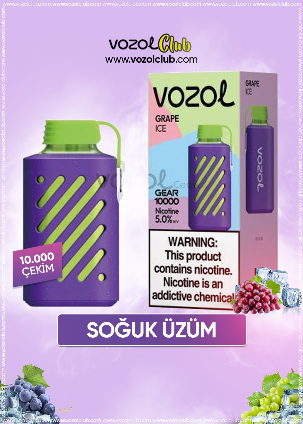 Vozol 10000 Grape Ice