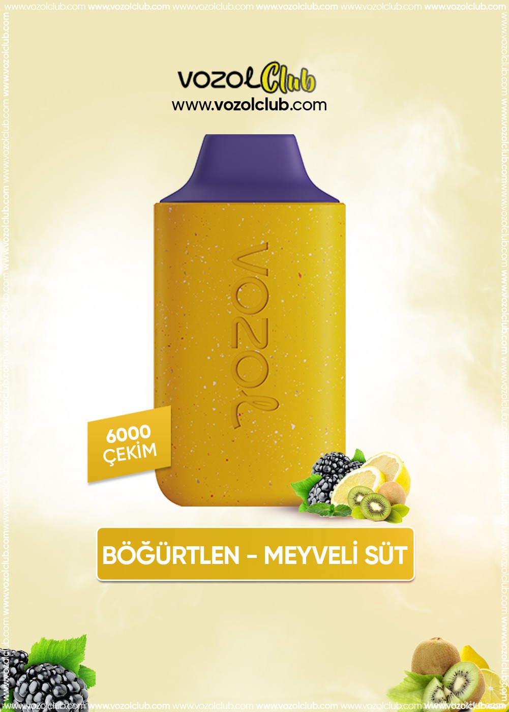 Vozol 6000 Blackberry Passion Fruit Milk