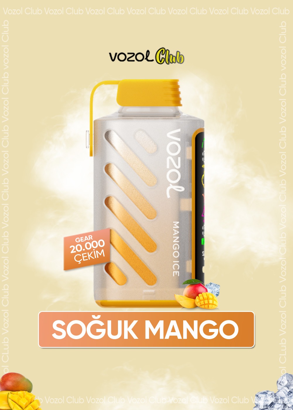 Vozol Gear Power 20000 Mango Ice