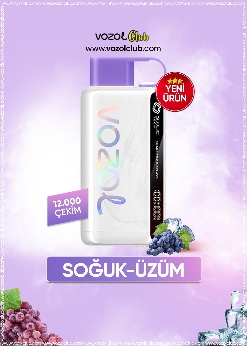 Vozol 12000 Grape Ice